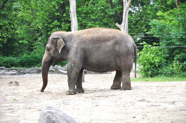 Zoo Berlin