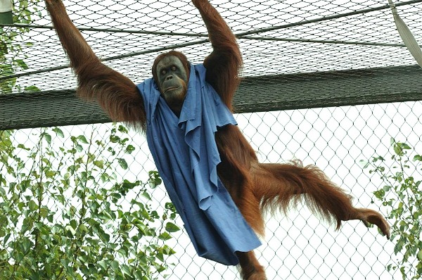 Melbourne Zoo