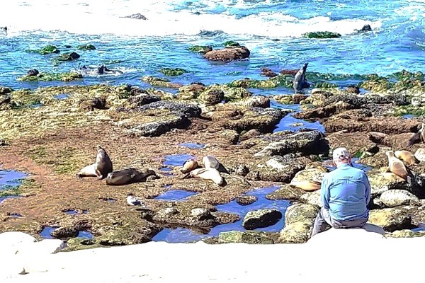 La Jolla Cove