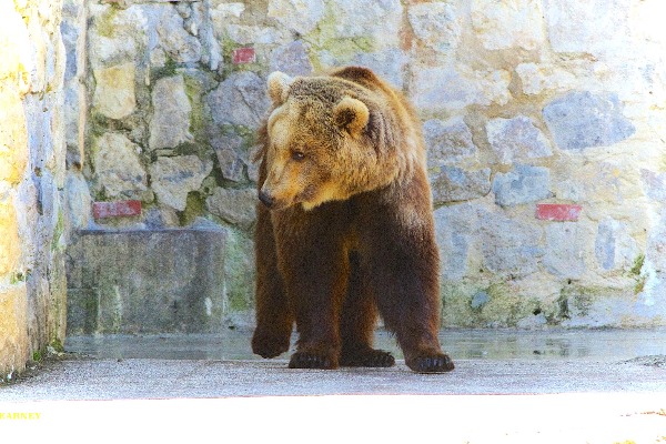 Lisbon Zoo