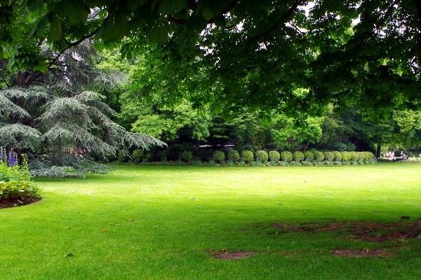 Luxembourg Gardens