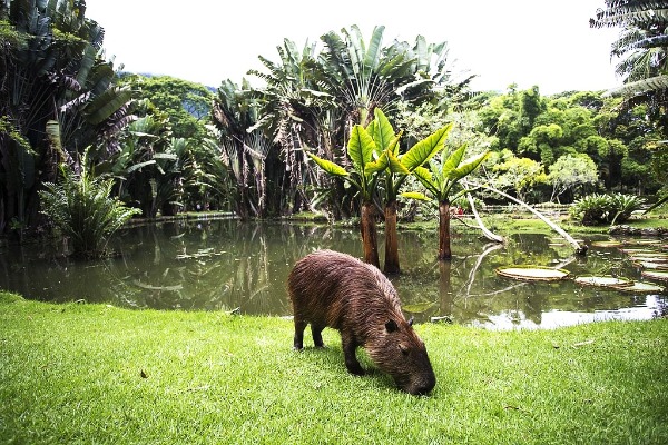 Botanical Garden