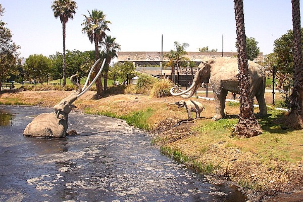 La Brea Tar Pits and Museum