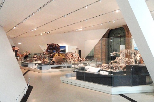 Royal Ontario Museum