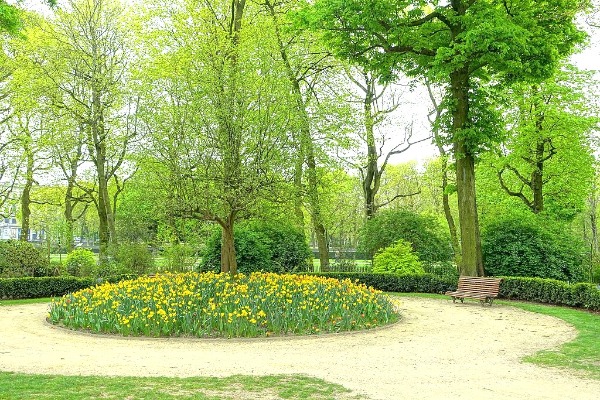 Parc Du Cinquantenaire