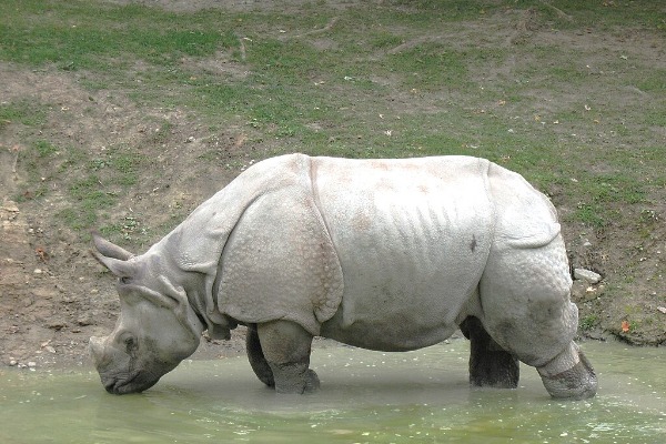 Toronto Zoo