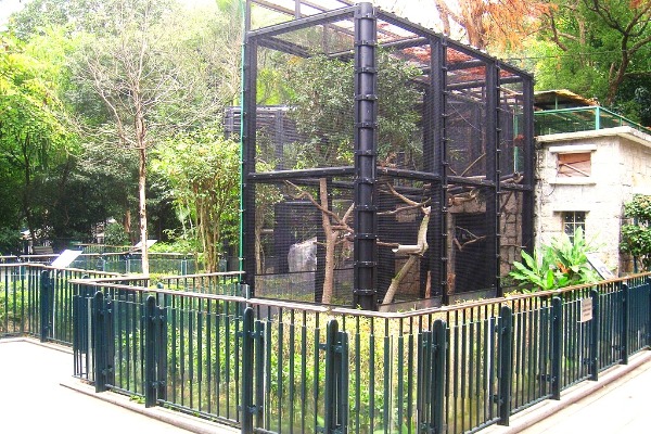 Hong Kong Zoological and Botanical Gardens