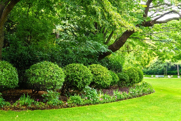 Luxembourg Gardens