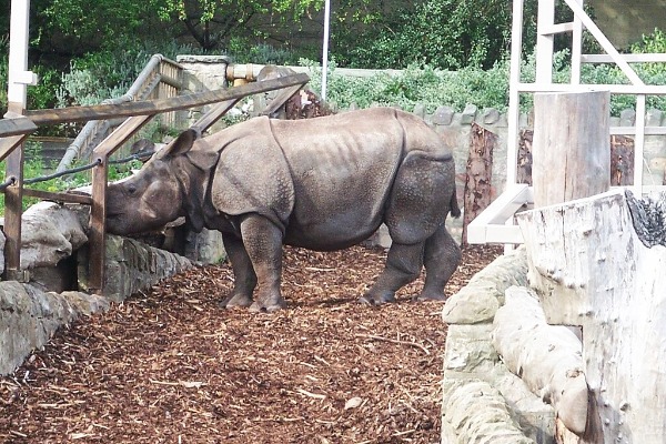 Edinburgh Zoo