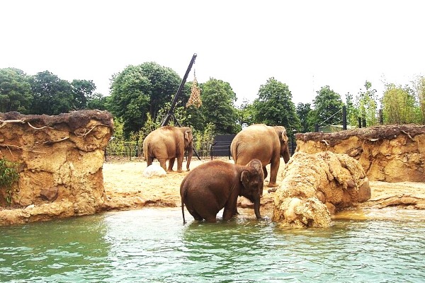 Dublin Zoo