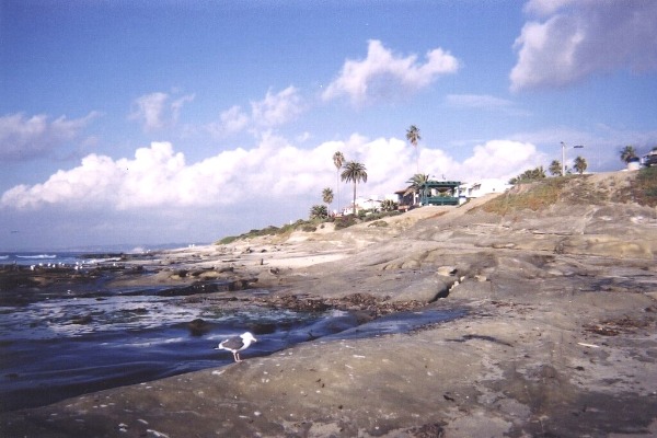 La Jolla Cove