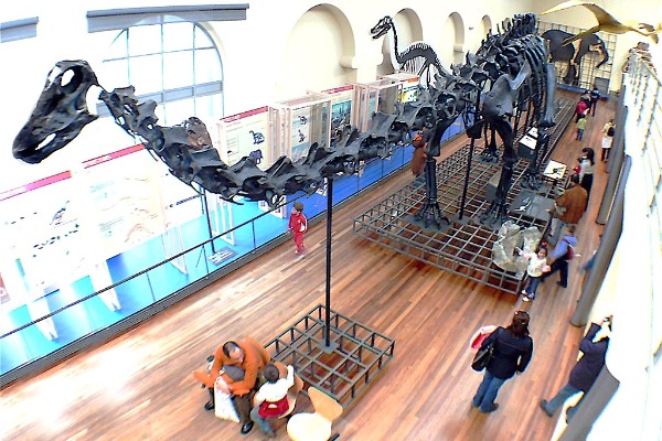 Museo Nacional de Ciencias Naturales