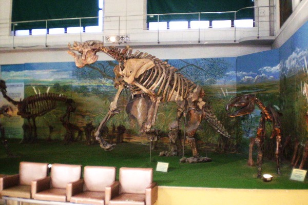 Museo Argentino de Ciencias Naturales Bernardino Rivadavia