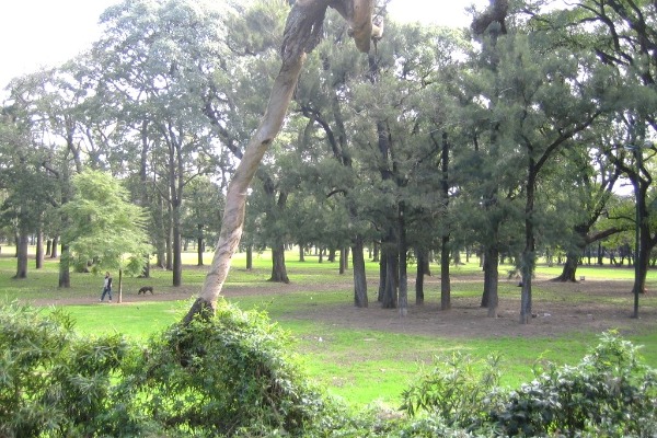 Bosques de Palermo