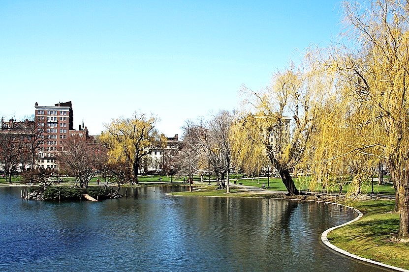 Boston Public Garden