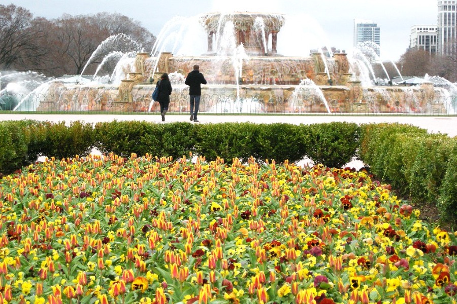 Buckingham Fountain