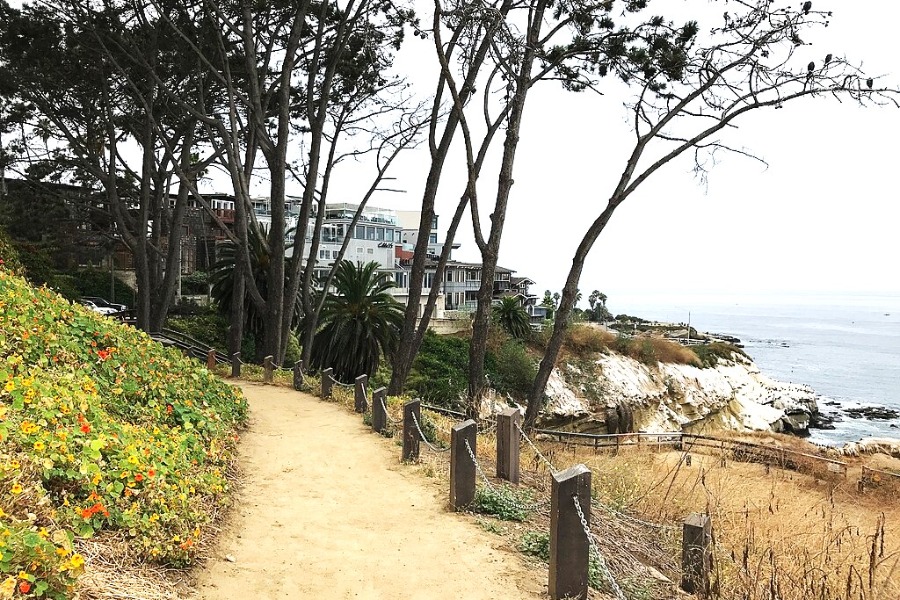 La Jolla Cove