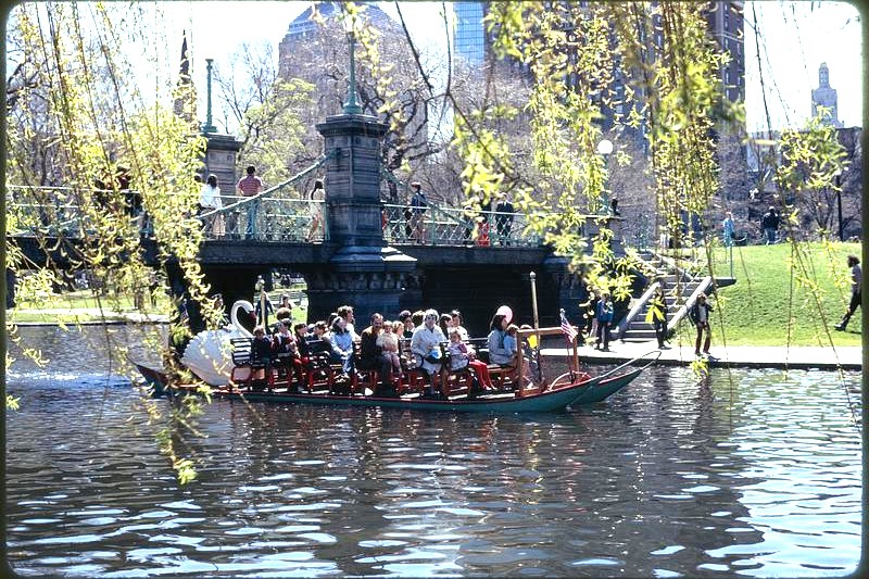 Boston Public Garden