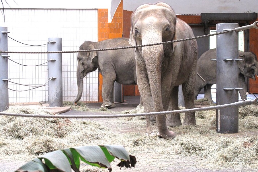 Munchener Tierpark Hellabrunn