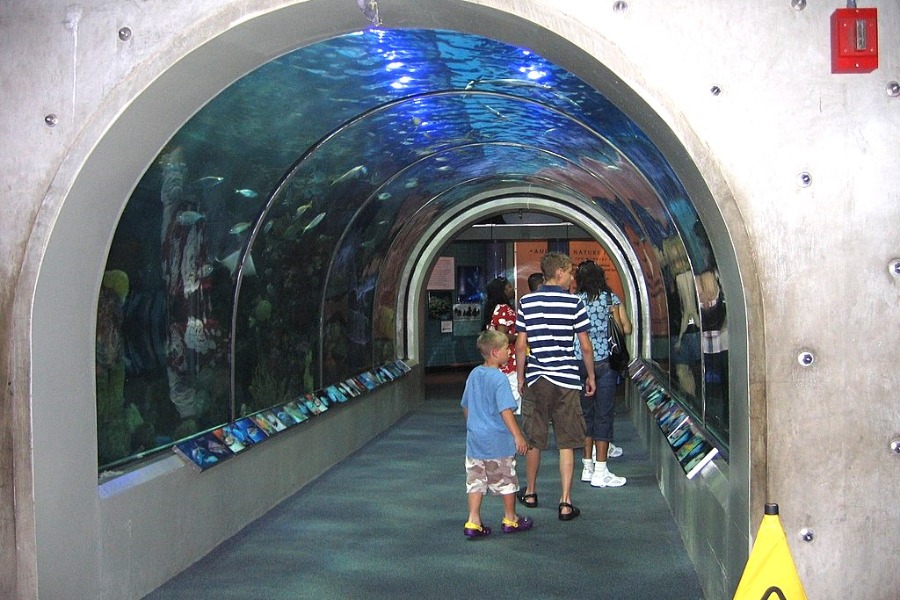 Audubon Aquarium