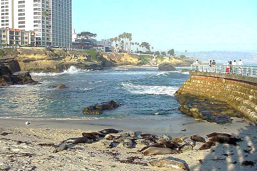 La Jolla Cove