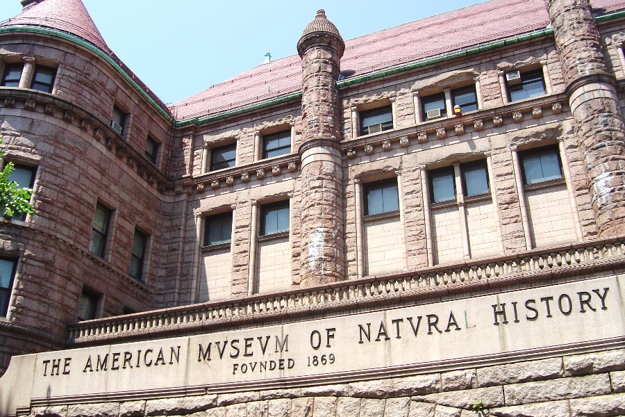 American Museum of Natural History