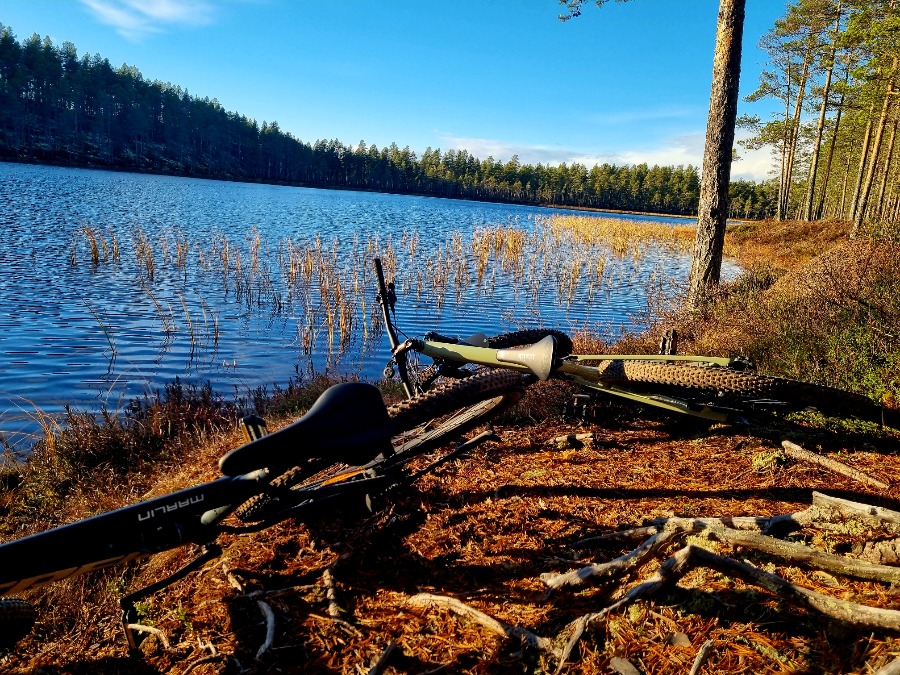 Rörbäcksnäs MTB