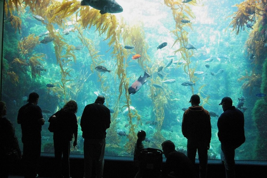 Birch Aquarium at Scripps