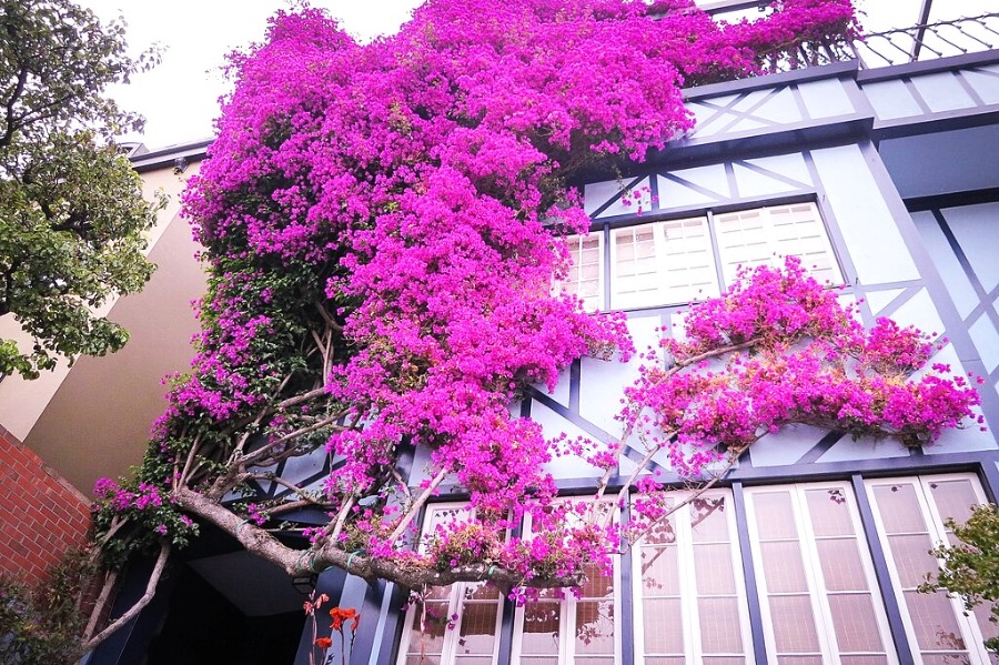 Lombard Street