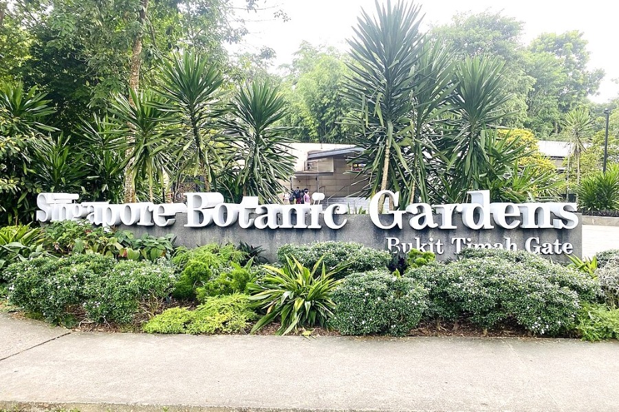 Singapore Botanic Gardens