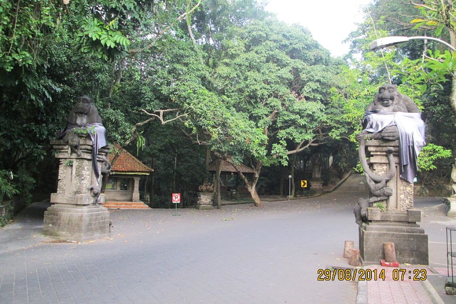 Sacred Monkey Forest Sanctuary