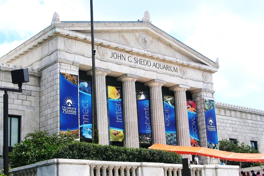 Shedd Aquarium