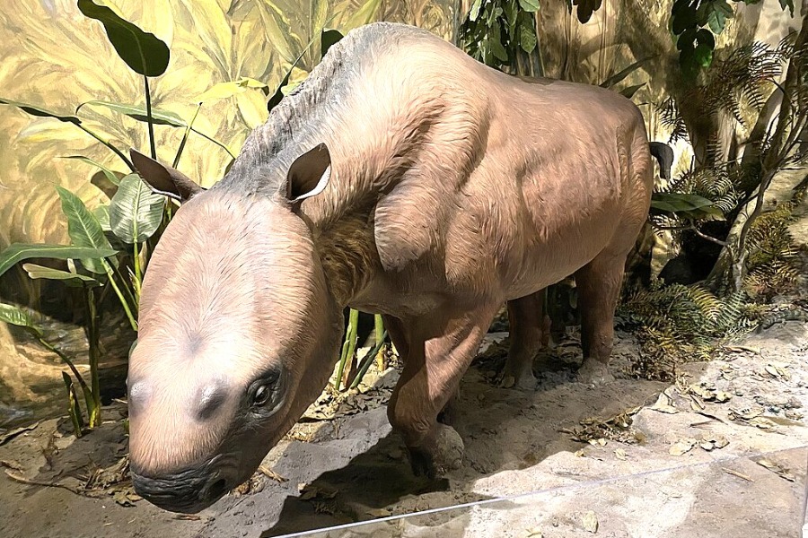 San Diego Natural History Museum