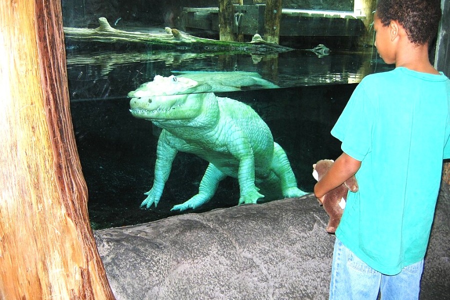 Audubon Aquarium