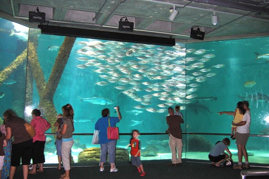 Audubon Aquarium