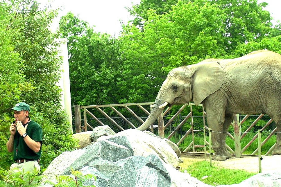 Toronto Zoo