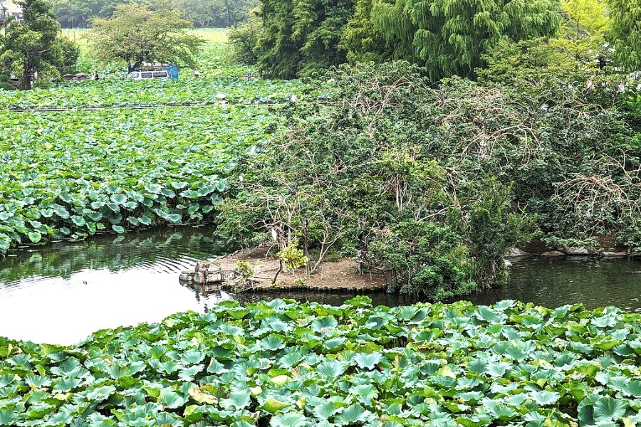 Ueno Zoo