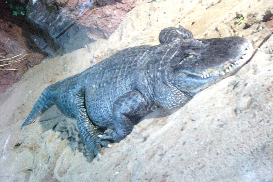 Munchener Tierpark Hellabrunn