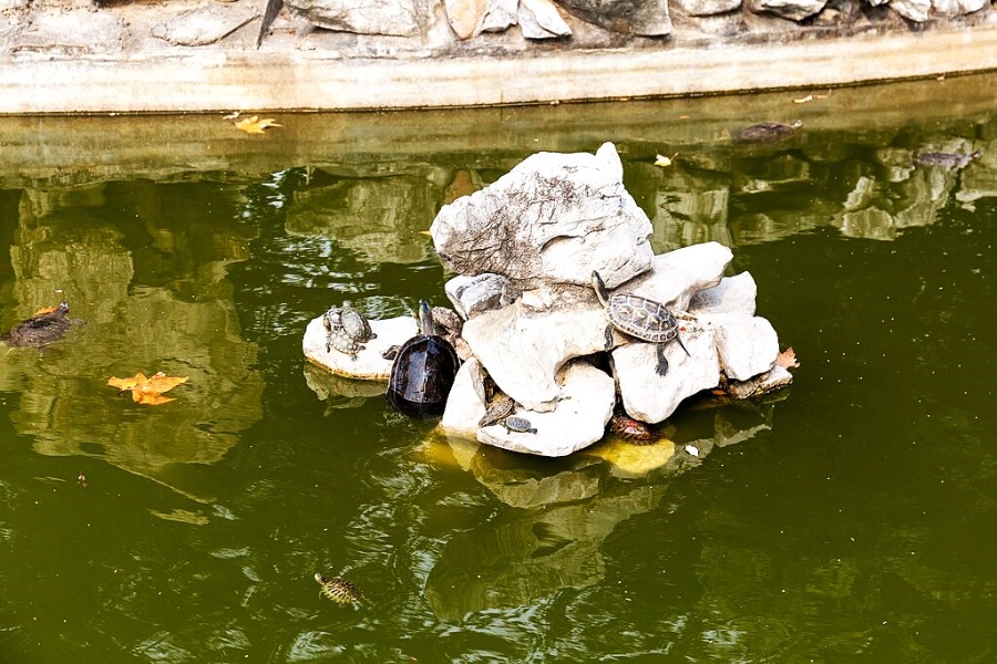 Longhua Temple