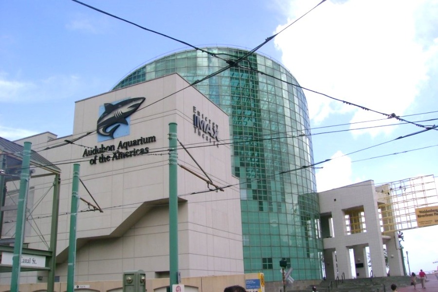 Audubon Aquarium