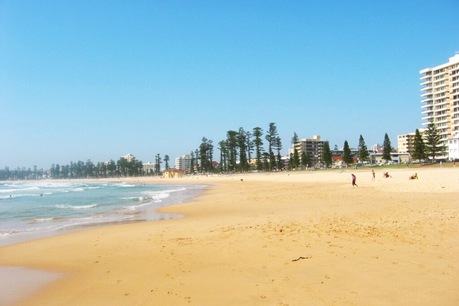 Manly Beach