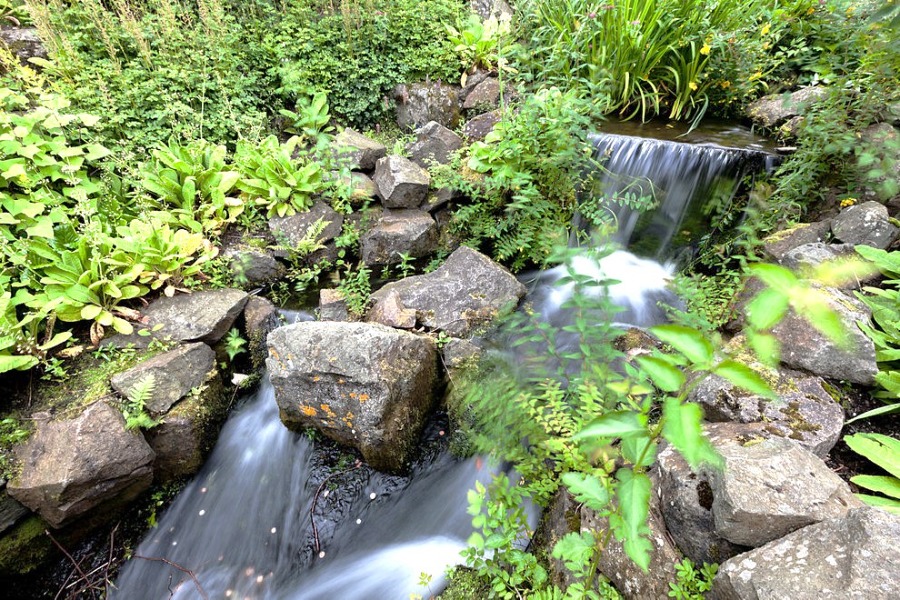 Royal Botanic Garden Edinburgh