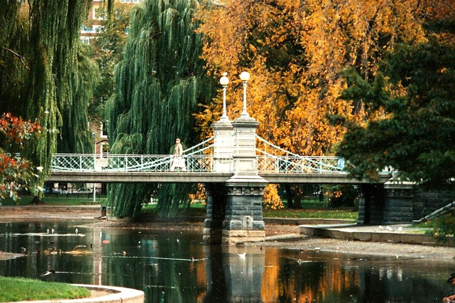 Boston Public Garden