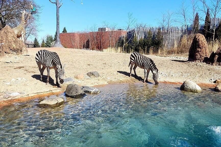 Lincoln Park Zoo